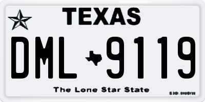 TX license plate DML9119