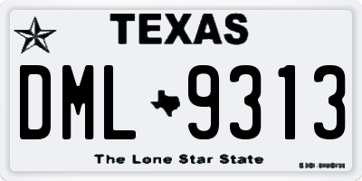 TX license plate DML9313