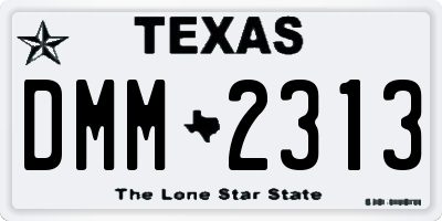 TX license plate DMM2313