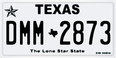 TX license plate DMM2873