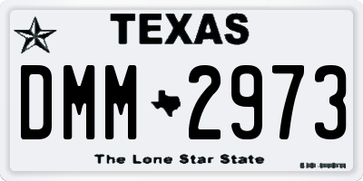 TX license plate DMM2973