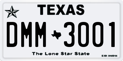 TX license plate DMM3001