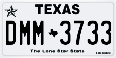 TX license plate DMM3733