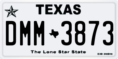 TX license plate DMM3873