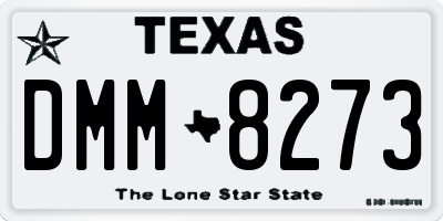 TX license plate DMM8273