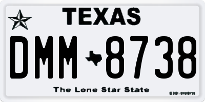 TX license plate DMM8738