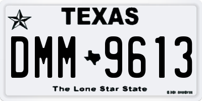TX license plate DMM9613
