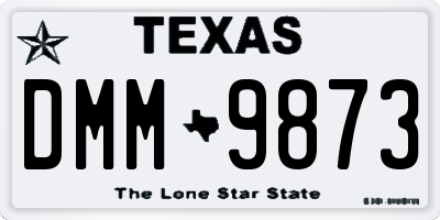 TX license plate DMM9873