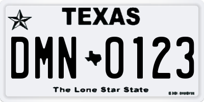 TX license plate DMN0123