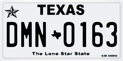 TX license plate DMN0163