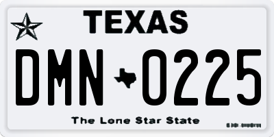 TX license plate DMN0225