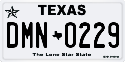 TX license plate DMN0229