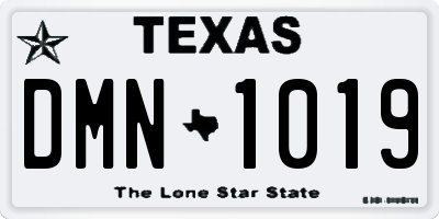 TX license plate DMN1019