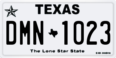 TX license plate DMN1023