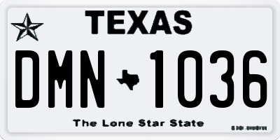 TX license plate DMN1036