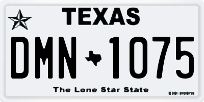 TX license plate DMN1075