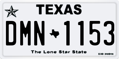 TX license plate DMN1153