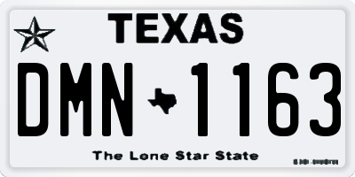 TX license plate DMN1163