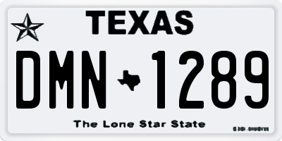 TX license plate DMN1289