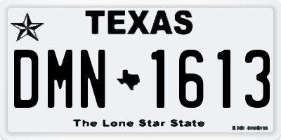 TX license plate DMN1613