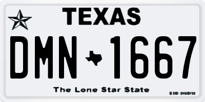 TX license plate DMN1667