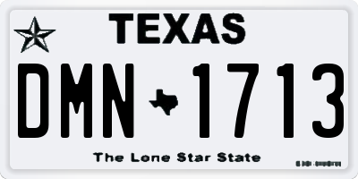 TX license plate DMN1713