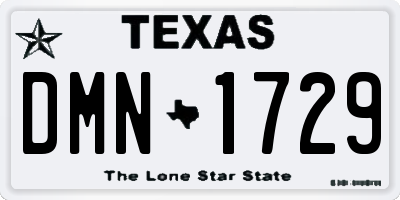 TX license plate DMN1729