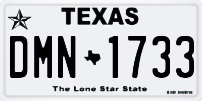TX license plate DMN1733