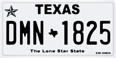 TX license plate DMN1825