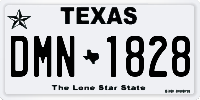 TX license plate DMN1828