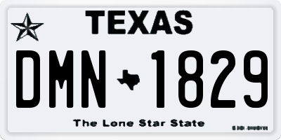 TX license plate DMN1829