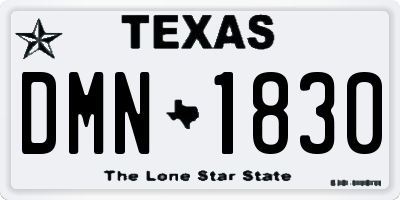 TX license plate DMN1830