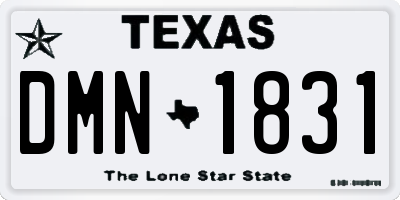 TX license plate DMN1831