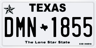 TX license plate DMN1855