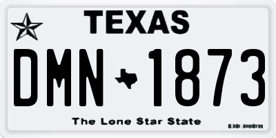 TX license plate DMN1873