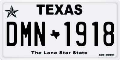 TX license plate DMN1918