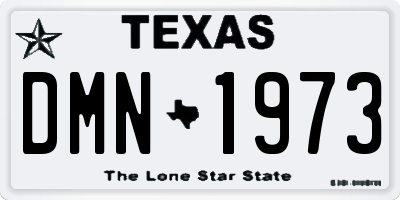 TX license plate DMN1973