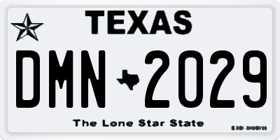 TX license plate DMN2029