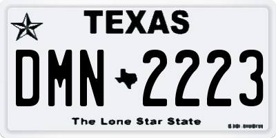 TX license plate DMN2223