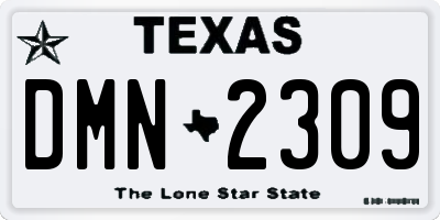 TX license plate DMN2309