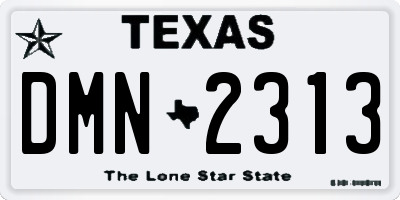 TX license plate DMN2313