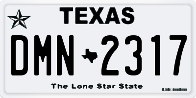 TX license plate DMN2317