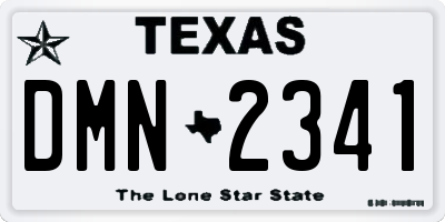 TX license plate DMN2341