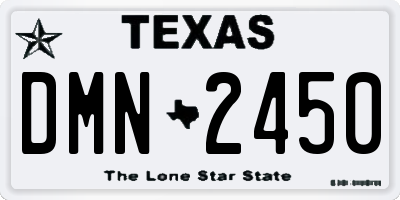 TX license plate DMN2450