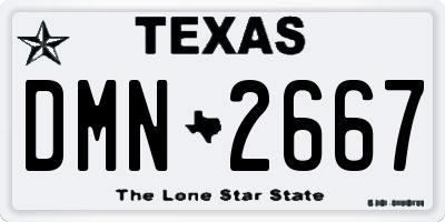 TX license plate DMN2667