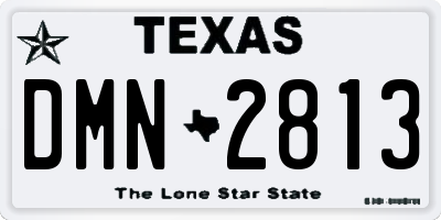 TX license plate DMN2813