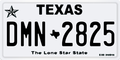 TX license plate DMN2825