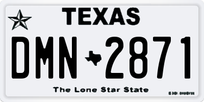 TX license plate DMN2871