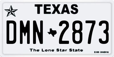 TX license plate DMN2873