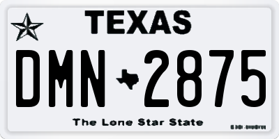 TX license plate DMN2875